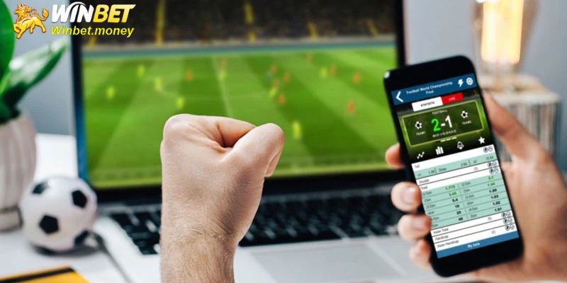Nhiều người chơi hoang mang về vấn đề pháp lý tại Winbet