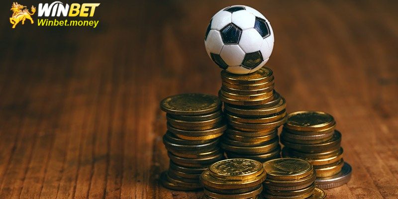 Cập nhật chương trình ưu đãi thể thao Winbet mới nhất