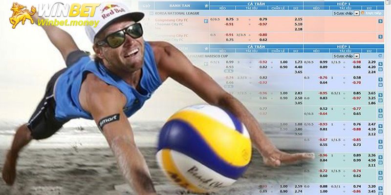 Một số kèo cược cá cược bóng chuyền Winbet được yêu thích