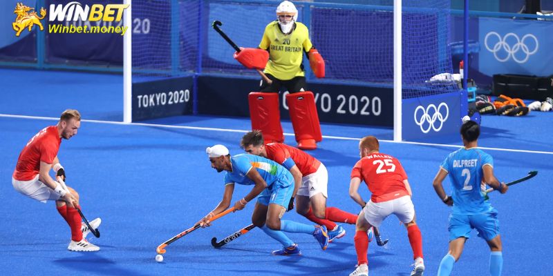 Sơ lược về cá cược hockey Winbet