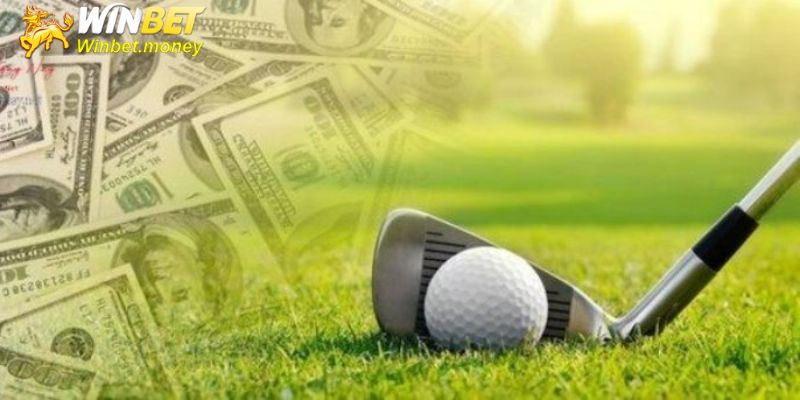 Kinh nghiệm chơi cá cược Golf Winbet