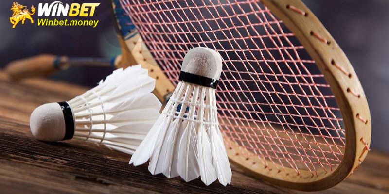 Các lưu ý khi cá cược cầu lông Winbet