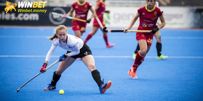 Kinh nghiệm cá cược hockey Winbet tăng khả năng chiến thắng