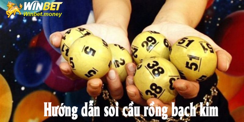 Tổng hợp phương pháp soi cầu rồng Bạch Kim