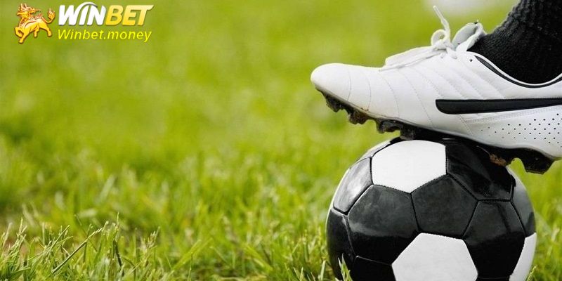 Tỷ lệ bóng đá kèo nhà cái cược tài xỉu