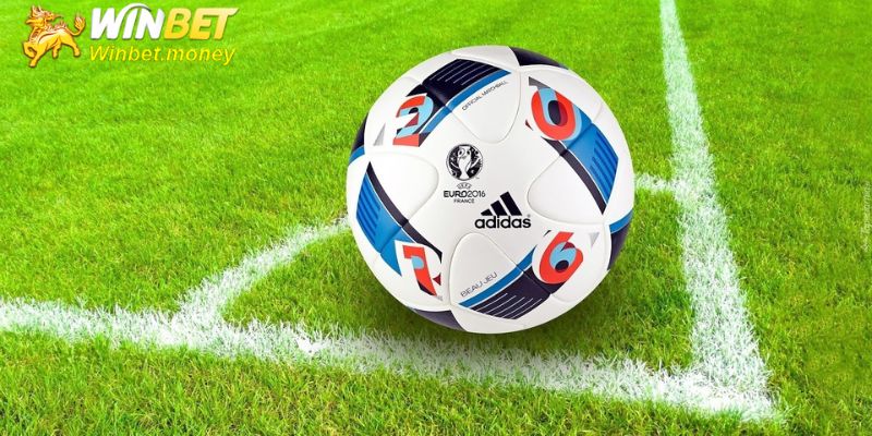 Nhà cái cung cấp tỷ lệ cược bóng đá đa dạng